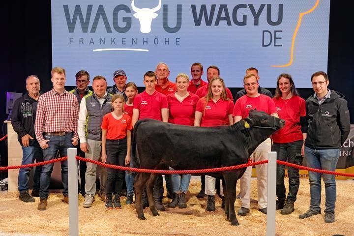 Wagyu DE
